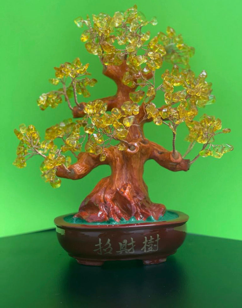 Árbol para atraer la abundancia