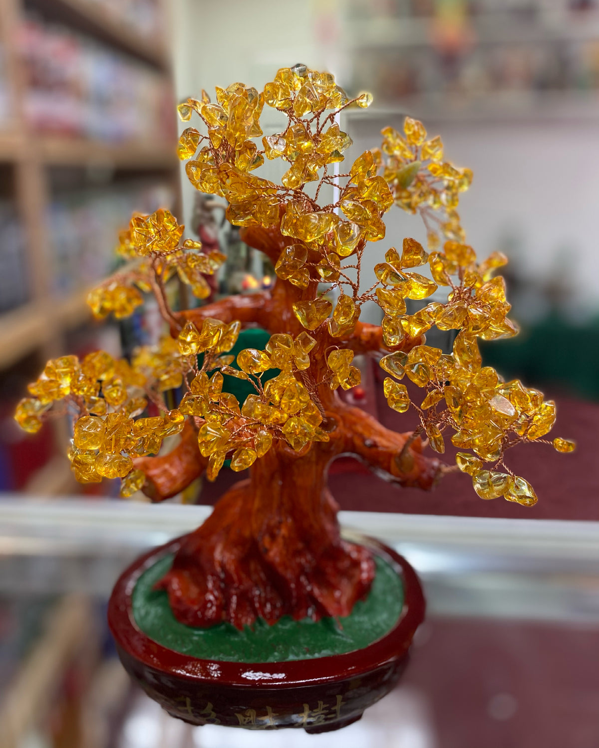 Árbol para atraer la abundancia